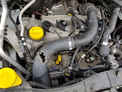 Auto: Durchgebissener Schlauch