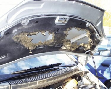 Auto: Dämmung unter der Motorhaube